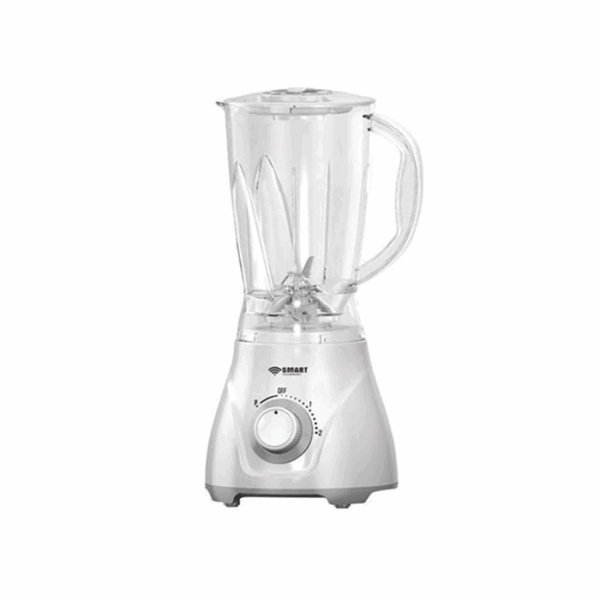 BLENDER SMART VERT (6PCS/CTN)