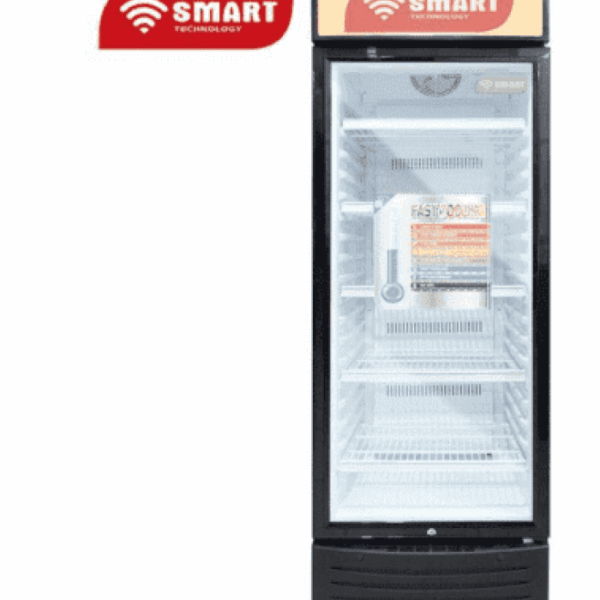 REFROIDISSEUR SMART 250L (STCDV-788)