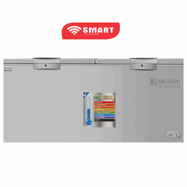 CONGELATEUR COUCHER SMART 600L (STCC-720)